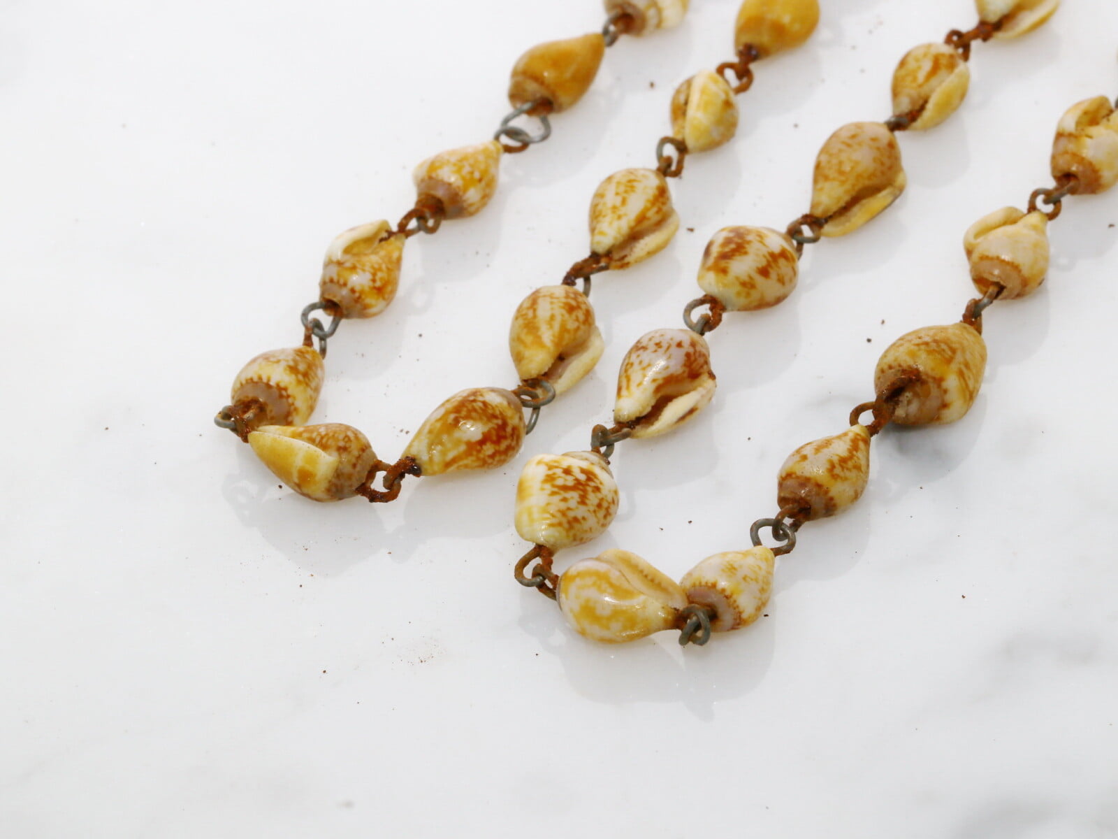 IMG_9341_resize_exposure