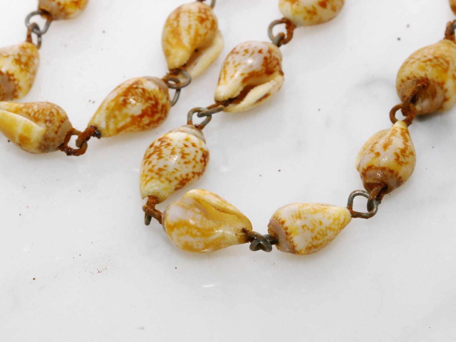 IMG_9344_resize_exposure